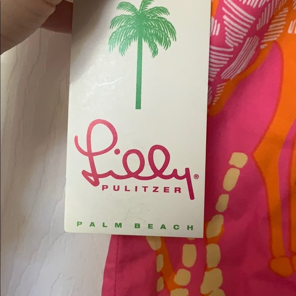 Lily Pulitzer Dress - Picture 5 of 6